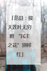 范县：接天莲叶无穷碧 “民主之花”别样红